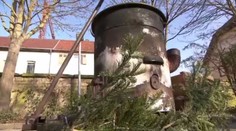 Maškary na reji strčily dívku do kotle s vařící vodou a zmizely!