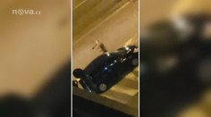 Strach ve světě: Hrozby stále přibývají! Hlavní terorista je mrtev