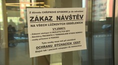 Chřipková epidemie nadále sílí. Ještě nás čeká vzestup, varuje viroložka