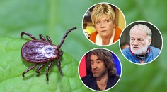 Tichý zabiják celebrit má další oběť! Borelióza trápila i tváře Novy