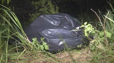 Hledá se tyran! Umučil psa, střelil ho do hlavy a hodil do lesa