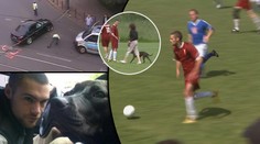 VIDEO: Muž ze smrtícího BMW účinkoval v OKRESNÍM PŘEBORU