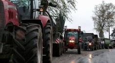 Dopravci protestovali kvůli Topolánkovi, zemědělci kvůli mléku