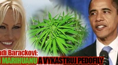 Pamela radí Obamovi: legalizuj marihuanu a vykastruj pedofily