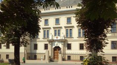 Rvačka na koupališti v Dubí: Za napadení jdou dva mladíci za mříže