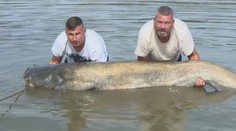 Rekordní úlovek rybáře Marka. Obrovská ryba skončí na pekáči!