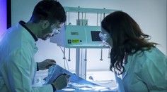 Zázračný lék proti zákeřné rakovině? Biochemik vysvětluje, proč mají pacienti zatím smůlu
