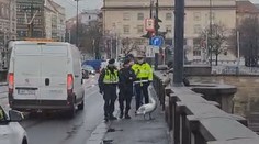 VIDEO: Labuť se vydala na procházku pražskou metropolí. Doprovodili ji strážníci