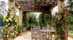 Pergola - kouzelná oáza klidu, která zkrášlí váš dům i zahradu