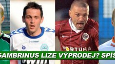 Hrozí Gambrinus lize výprodej? Spíše ne