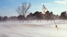Pozor na stromky! Meteorologové varují před silným větrem