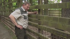 Balák prodává bazén z hradního pozemku. Platil jsem ho sám, tvrdí