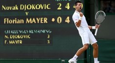 Semifinále Wimbledonu ŽIVĚ. Sledujte bitvu Djokoviče s Federerem