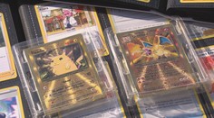 Velký podvod s Pokémony: Mladík si měl přijít na desítky tisíc korun