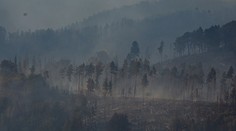 Požár v Českém Švýcarsku stále pokračuje. Obyvatele trápí špatný vzduch