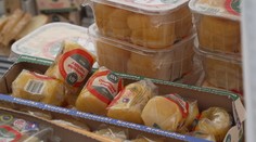 V Olomouci se koná tvarůžkový festival. Pochoutka slaví už 150 let