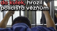 Dostanete taserem do kulek, hrozil policista zadrženým