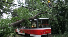 OBRAZEM: U pražského Výstaviště spadl strom na tramvaj