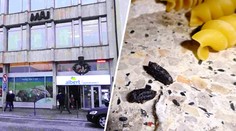 V Albertu zasahovala inspekce. Kvůli hlodavcům mu zavřela sklad