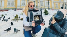 VIDEO: Že nejde cestovat s mazlíčkem? Dobrodružná kočka obletěla 45 zemí