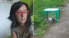 Zpověď majitelky zabité čivavy: Pomstil se na nevinném!