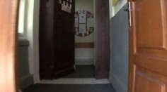 Pes vběhl do družiny a pokousal chlapce