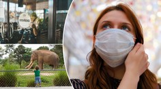 Bary, koupaliště, koncerty: To vše se od 25. května mění! Velký PŘEHLED