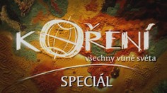 KOŘENÍ: Tuniský speciál