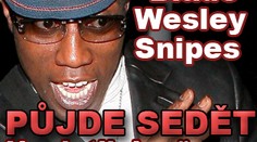 "Blade" Wesley Snipes půjde sedět. Neplatil daně