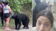 Divoký medvěd si přišel očichat ženu, ta necouvla a udělala si s ním selfie