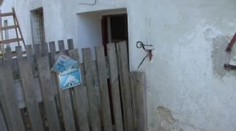 Chovatelce sebrali týrané psy. Má jich dalších dvacet