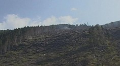 Tatry v plamenech. Požár zničil lanovku, v akci vrtulníky
