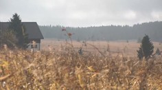 Známe výsledek svatomartinské soutěže. Na vrcholku Krušných hor není ani vločka