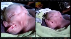 Domorodce vyděsil podivný tvor, schovali ho do kočárku