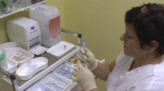 80 MILIONŮ VYLETÍ KOMÍNEM! Budou se pálit vakcíny proti PRASEČÍ CHŘIPCE!