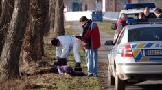 Rozřezané tělo nalezené po Praze patřilo Slovence