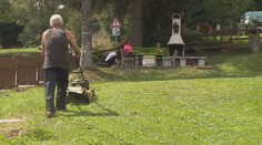 Kvůli suchu přestanou některá města sekat trávu. Alergici zuří
