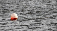 Chorvati v šoku. Někdo přivázal psa k bójce v moři, ten nepřežil