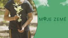 Startují Dny za obnovu lesa. Pomoct můžete i vy