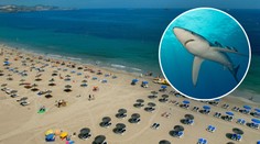 Žralok zaútočil na turistu a kousl ho do ruky! Na ostrov lítají i Češi 