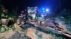 Děsivá nehoda na Brněnsku. Strom proťal autobus, řidičku museli vyprostit