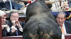 TRAGÉDIE: Rozzuřený býk utekl do ulic! VTRHL DO DOMU A SENIOROVI PROKLÁL KRK ROHEM!