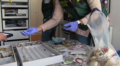 Gang vykrádal domy hráčů Realu a Atlética, policie ho rozprášila
