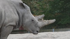 Hodně zvířat i příznivé ceny. Polská zoo je ideální pro rodiny s dětmi