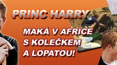 Princ Harry maká v Africe s kolečkem a lopatou
