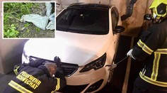 Pomoc, máme tu hada! Hasiči rodině museli rozebrat auto, kvůli užovce