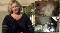 Drsná Výměna manželek: Mrtvá slepice a myčka vedle záchodu!