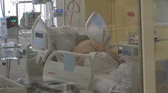 V Česku zemře kvůli koronaviru každých sedm minut jeden člověk! Umírají i mladí