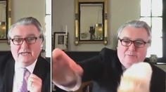 VIDEO: Největší komplikace při videohovorech jsou domácí mazlíčci