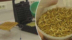 Vafle s tajnou přísadou. Vědci testují, zda si všimnete rozdílu